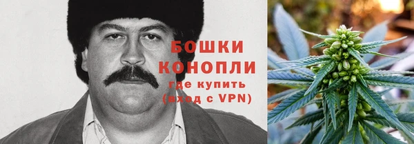 спиды Бородино