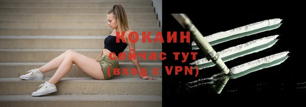 спиды Бородино