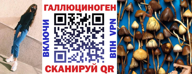 Псилоцибиновые грибы MAGIC MUSHROOMS  ссылка на мегу ТОР  Свирск  как найти закладки 